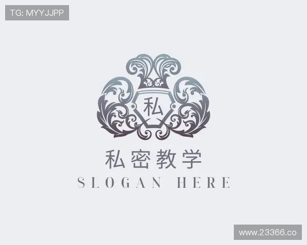 洞悉私密教学